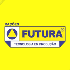 Cliente 07